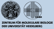 Logo des Zentrums für molekulare Biologie